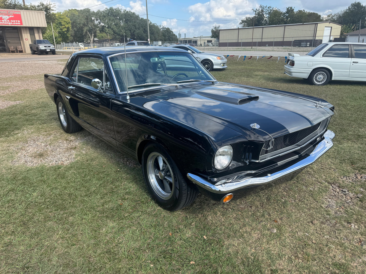 1965 Mustang Black Gray Stripes