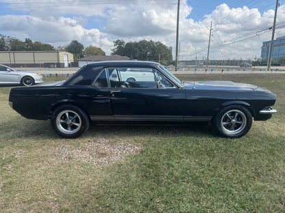 1965 Mustang Black Gray Stripes