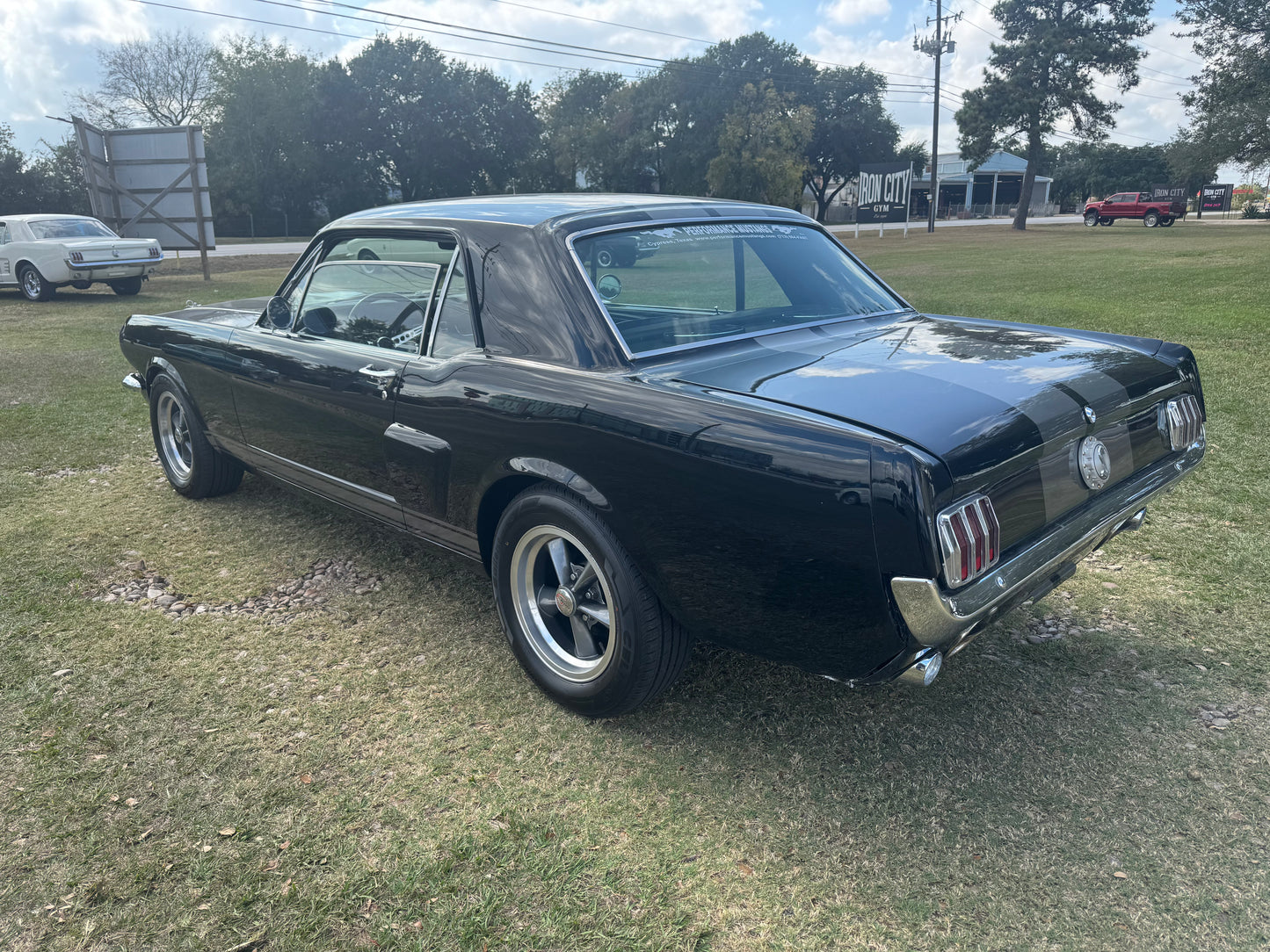 1965 Mustang Black Gray Stripes