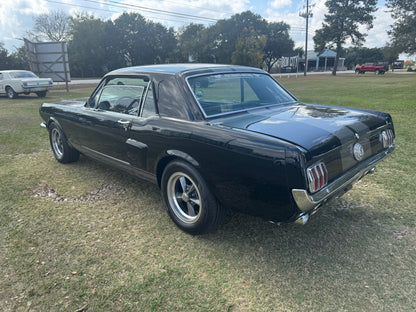 1965 Mustang Black Gray Stripes
