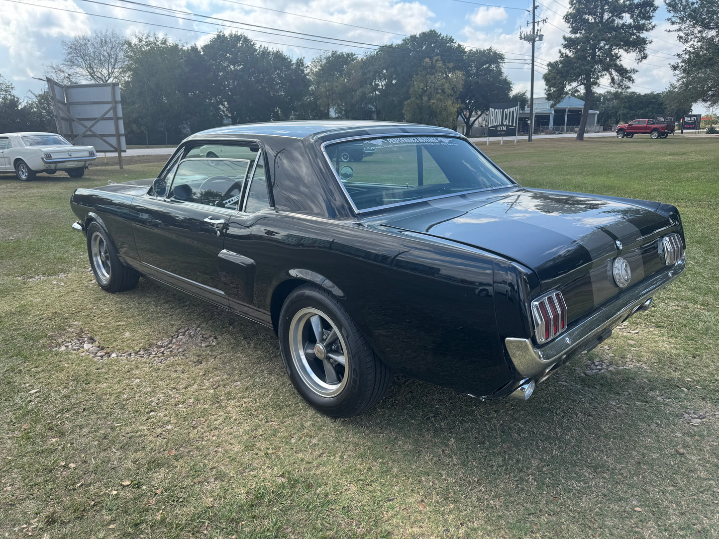 1965 Mustang Black Gray Stripes