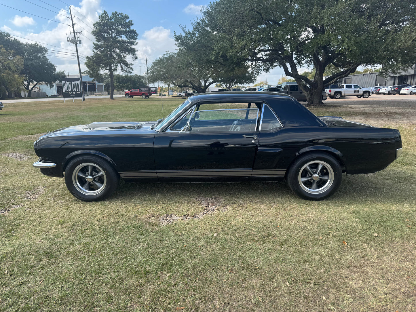 1965 Mustang Black Gray Stripes