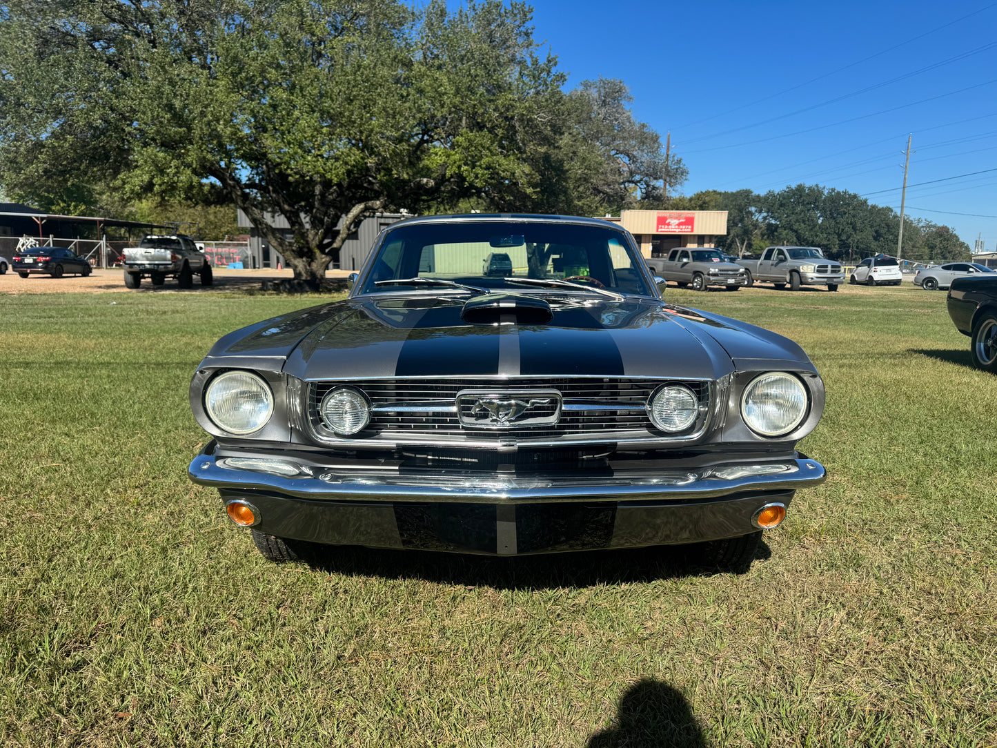 1966 Mustang Grey Black Stripes