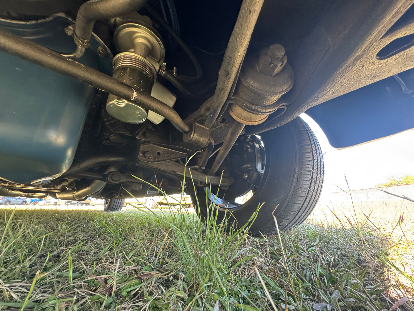 1965 Mustang Black Gray Stripes