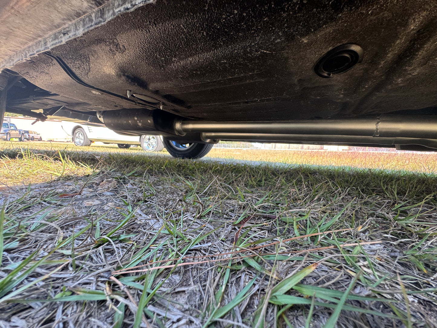 1965 Mustang Black Gray Stripes