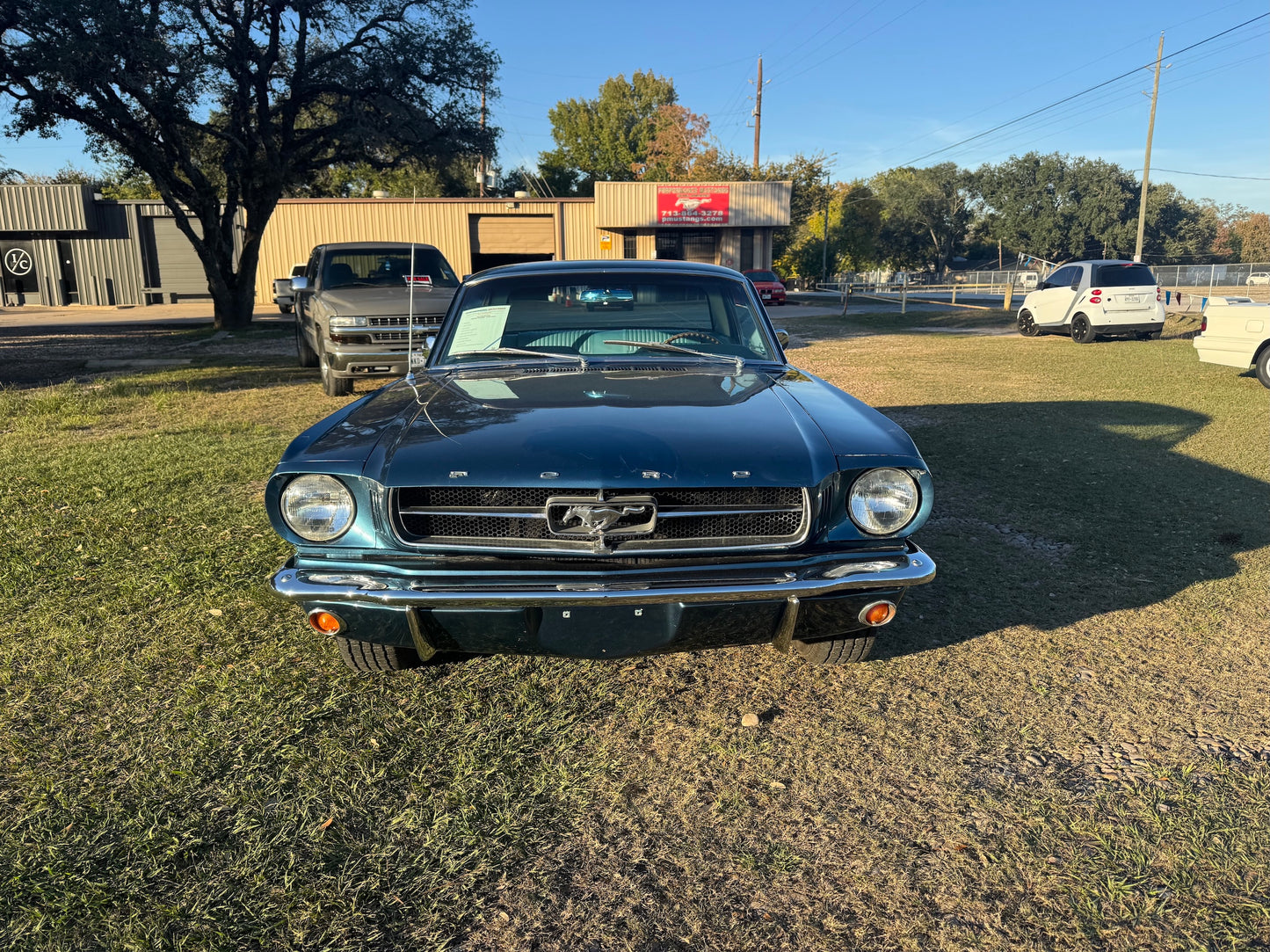 1965 Mustang Twilight Turquoise