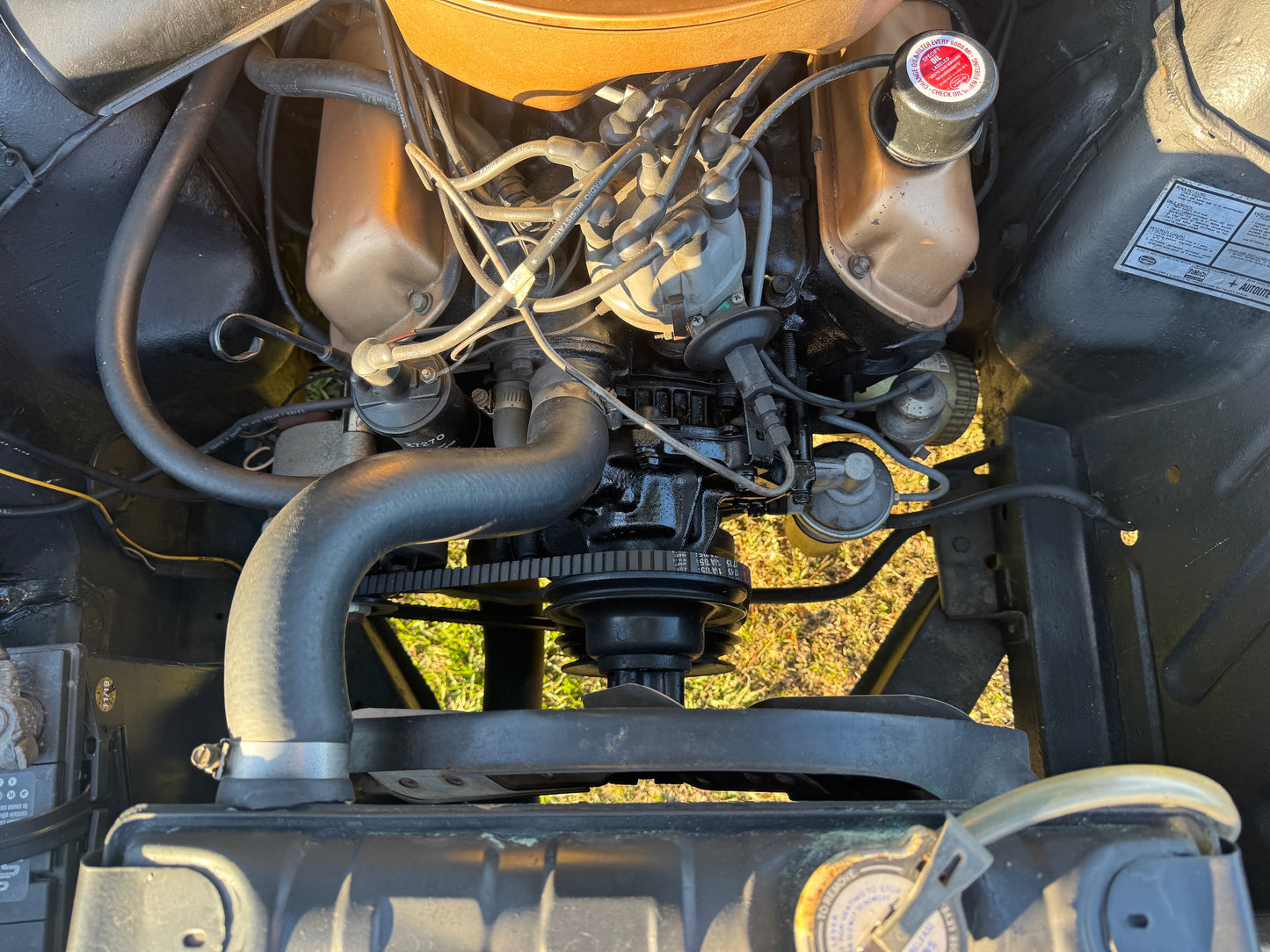 1965 Mustang Twilight Turquoise