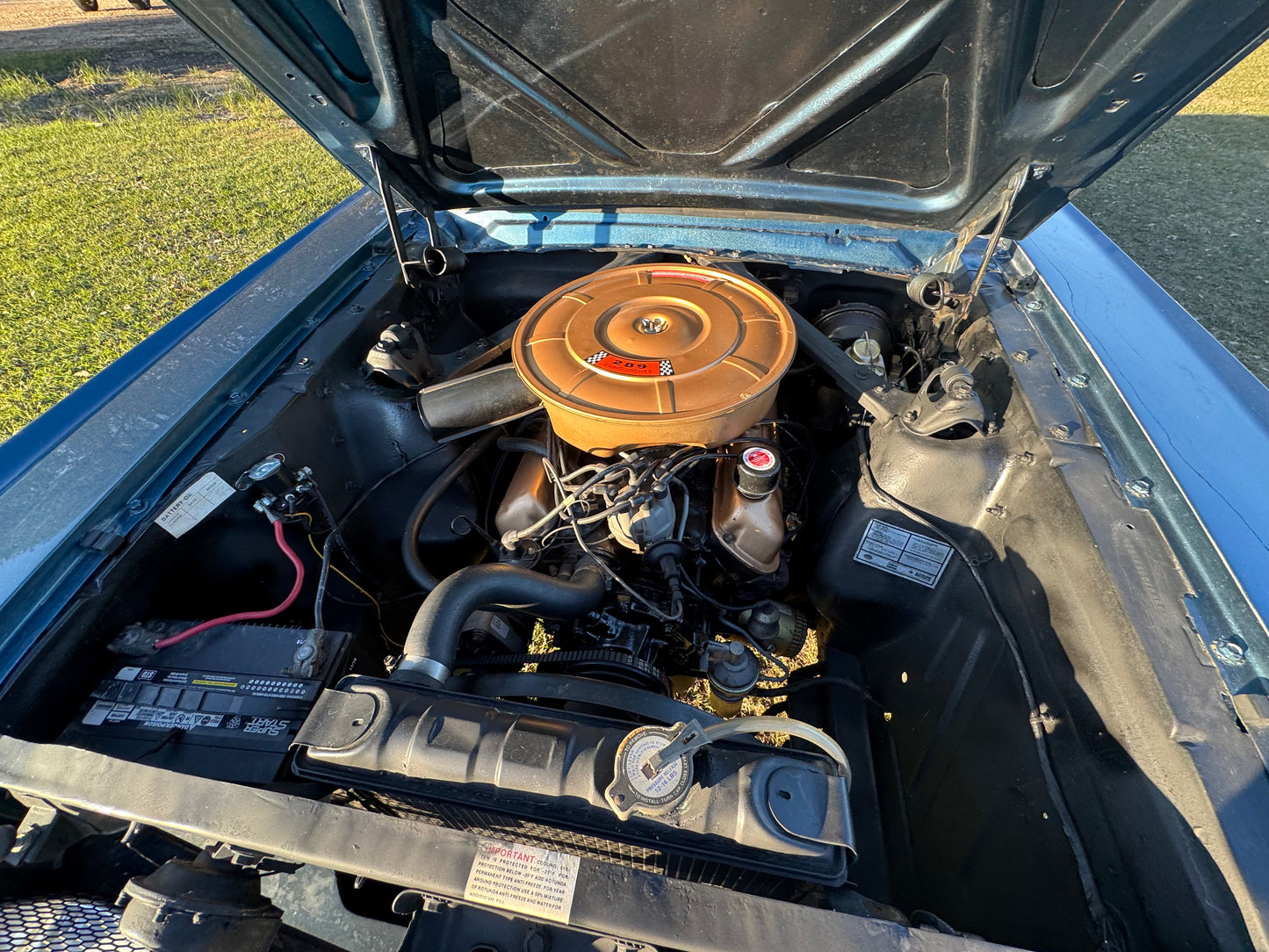 1965 Mustang Twilight Turquoise