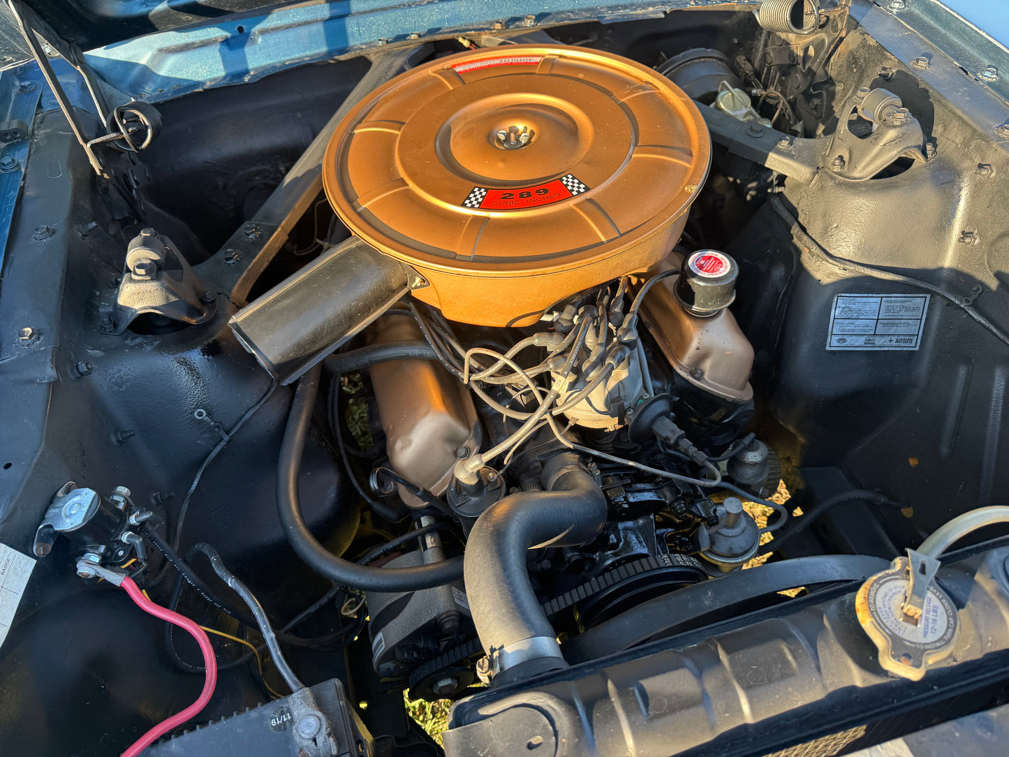 1965 Mustang Twilight Turquoise