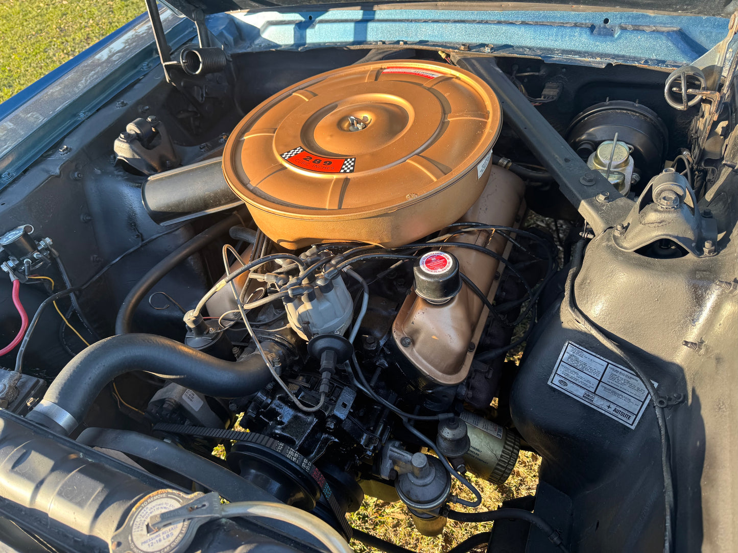 1965 Mustang Twilight Turquoise